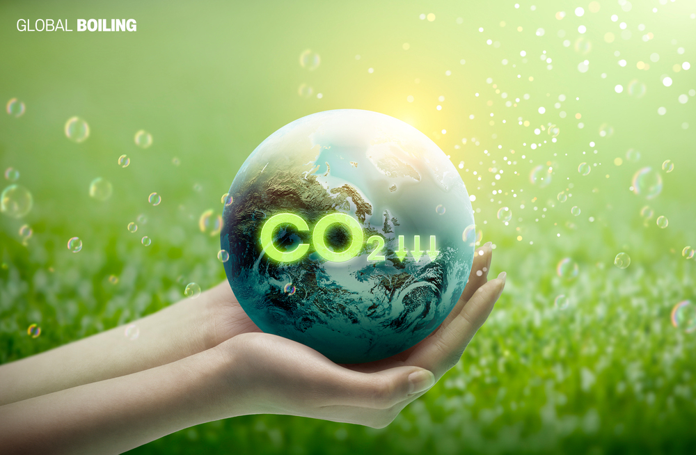 기후 변화 대응